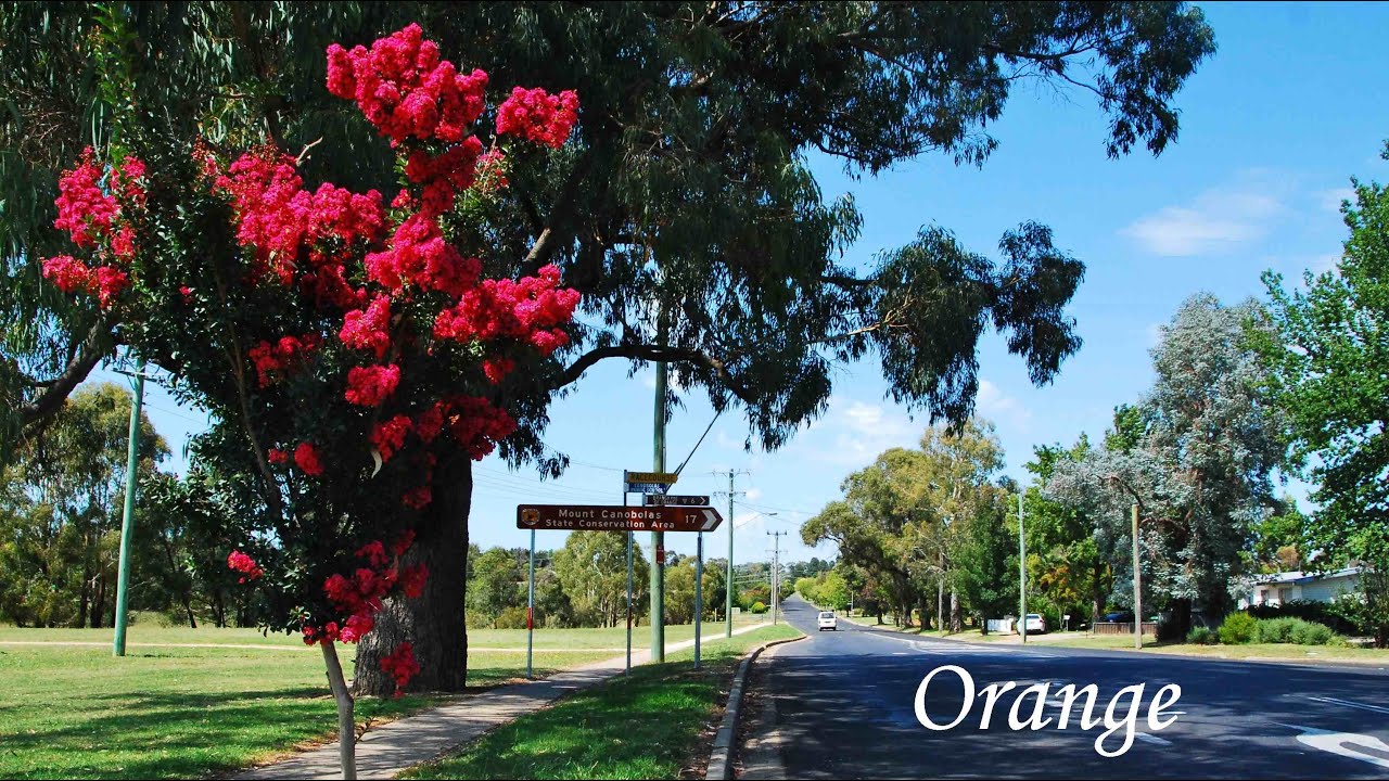Orange, NSW Australia