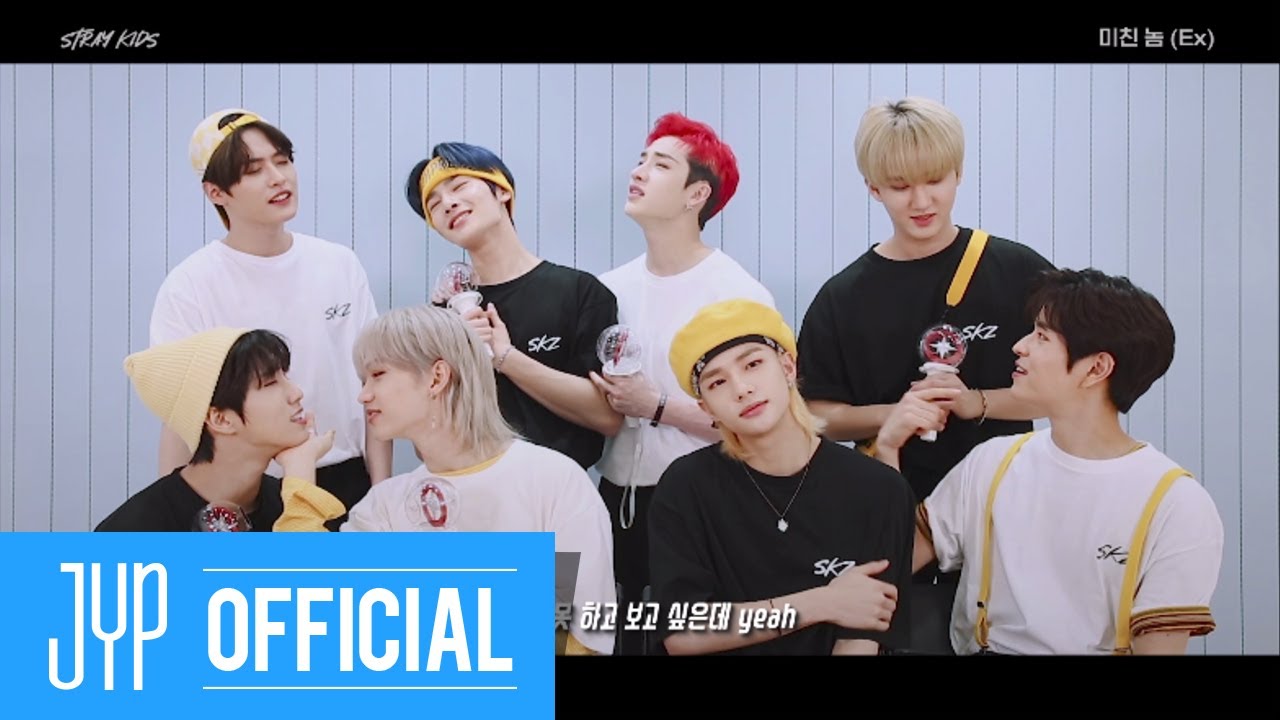 Stray Kids(스트레이 키즈) 
