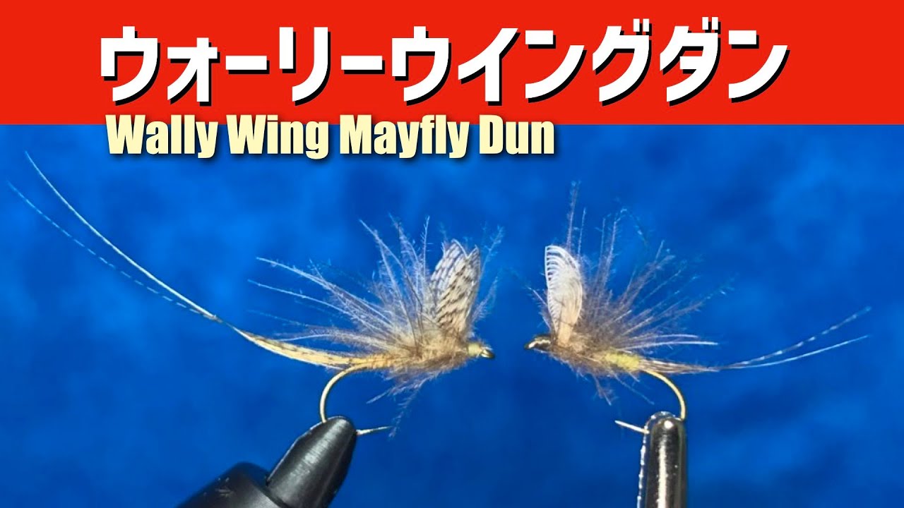 リアル！ウォーリーウイングのメイフライダン【フライタイイング】Wally Wing