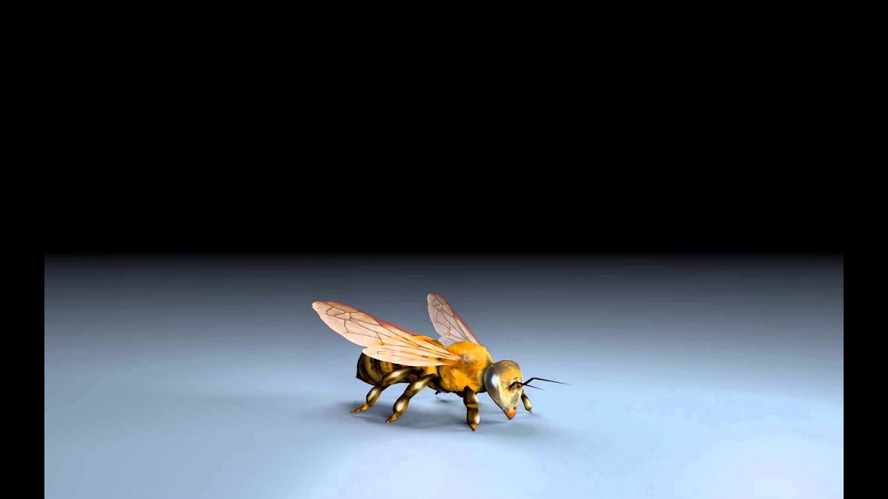 3DBee 360