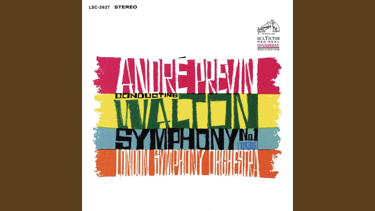 Symphony No. 1 in B-Flat Minor: I. Allegro assai