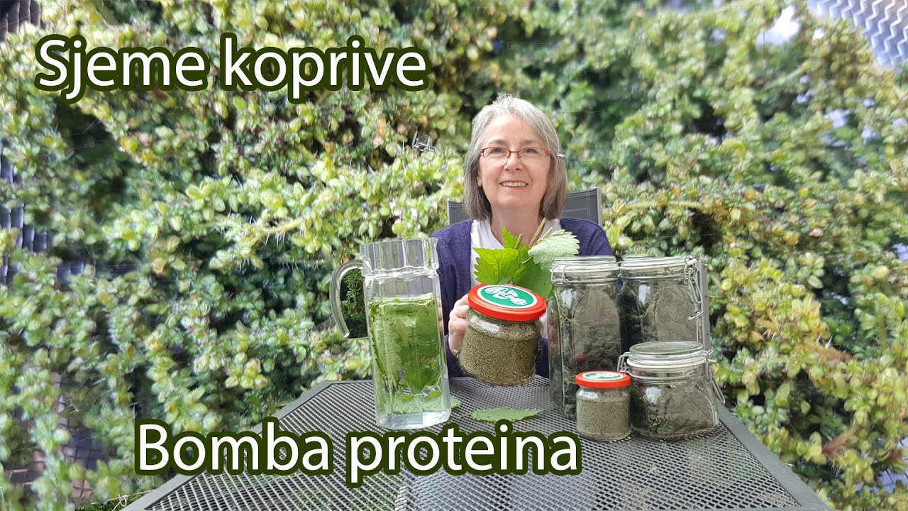 Proteini / Materijal za rast i regeneraciju ćelija mišića, krvi, mozga, kose, noktiju, kože...