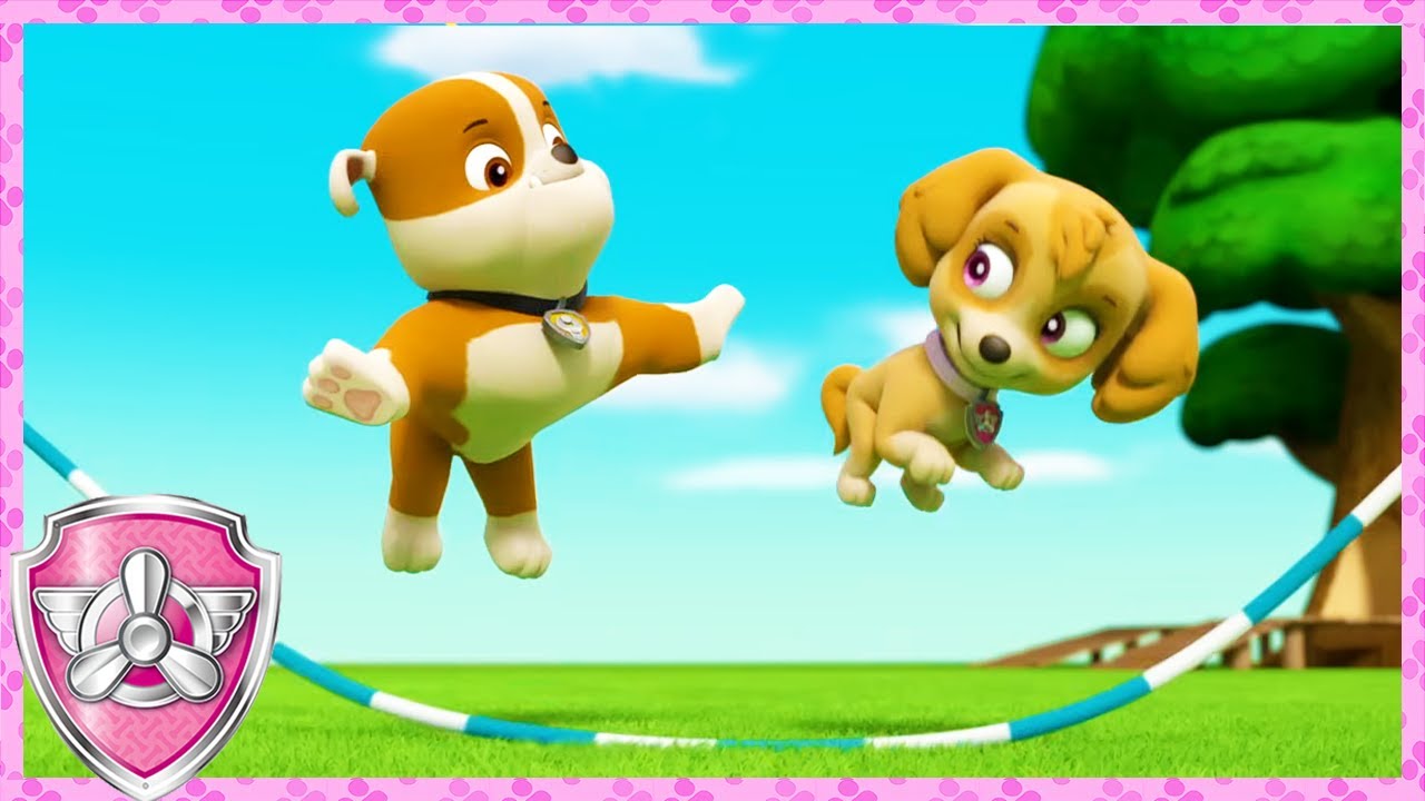 Rubble & Skye Play Games (Compilation) | Skye - Paw Patrol & Friends | Cartoons For Kids