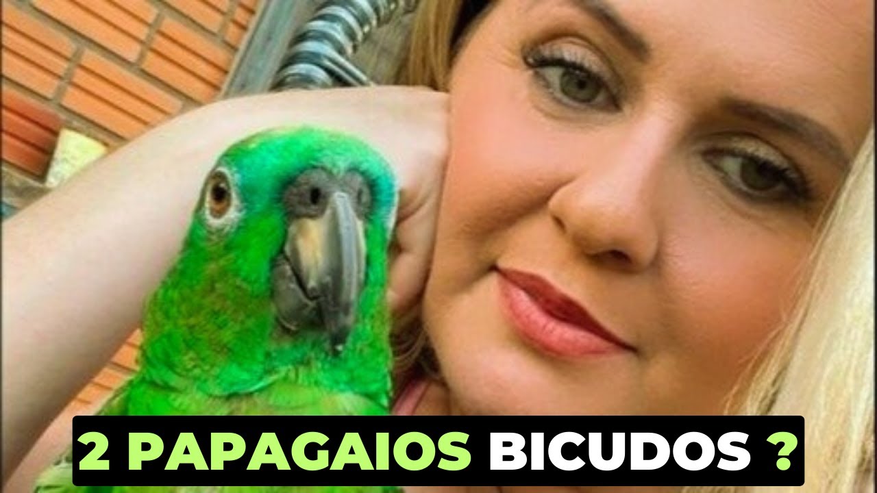 PAPAGAIO BICUDO FALSO pede dinheiro na Internet e enfrenta CLEVIANE MOREIRA | Tribo Notícias