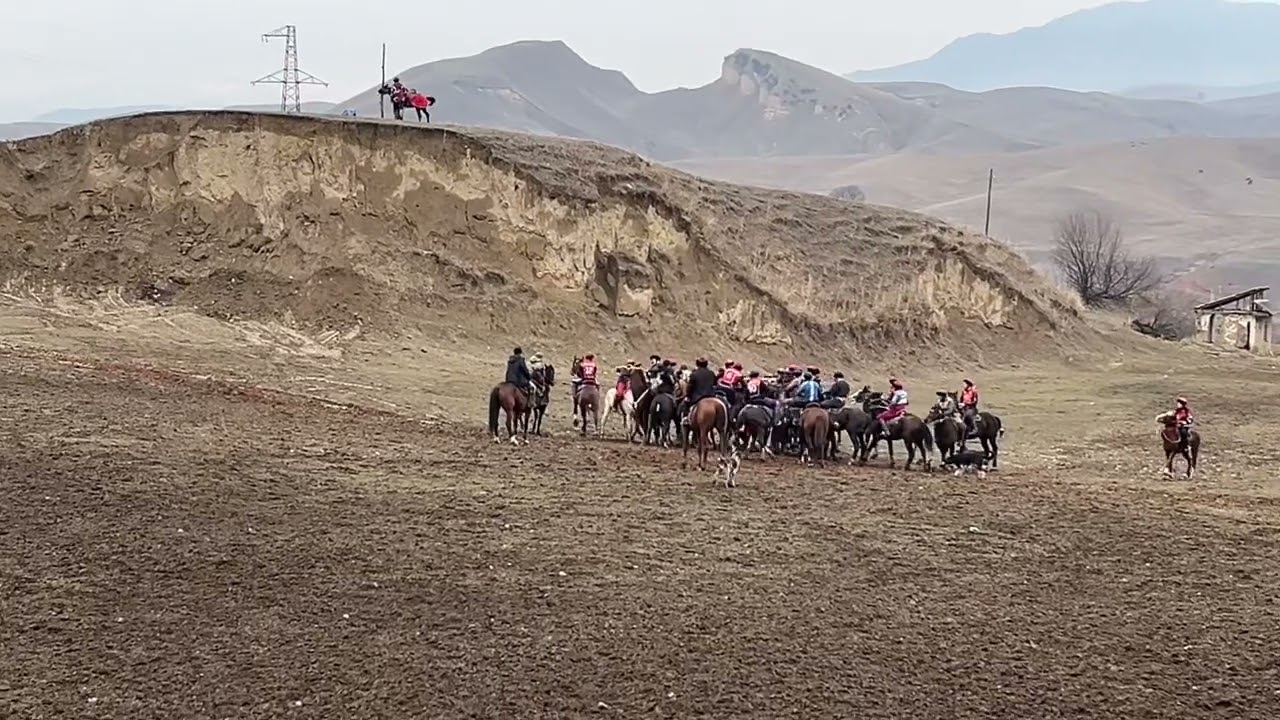 Аламан улак.
