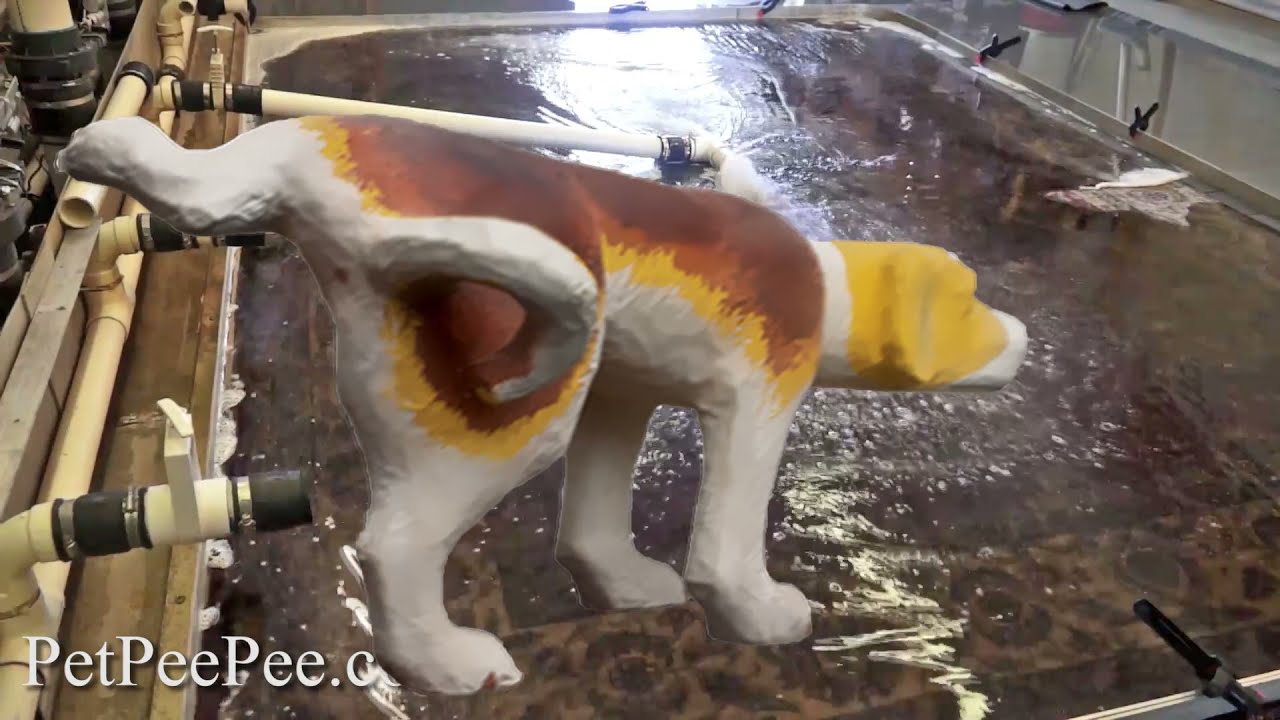 Oriental rug cleaning from urine odor By PetPeePee Company Nationwide service.