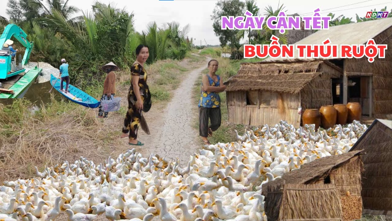 Xẻo Bướm-Vùng Miệt Thứ-Những Ngày Cận Tết.