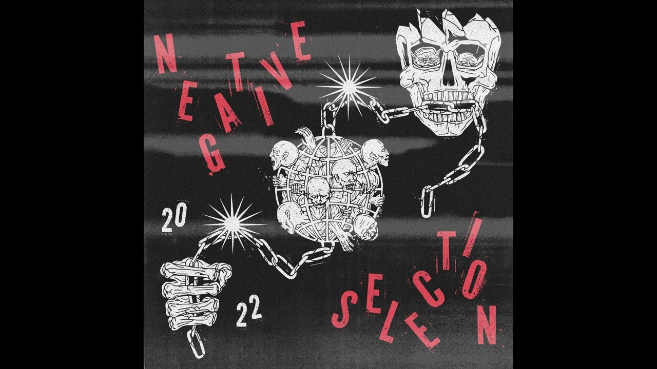 Negative Selection - 2022