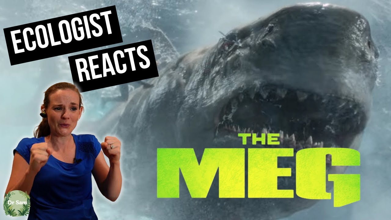 Shark Scientist Reacts to The Meg (2018)