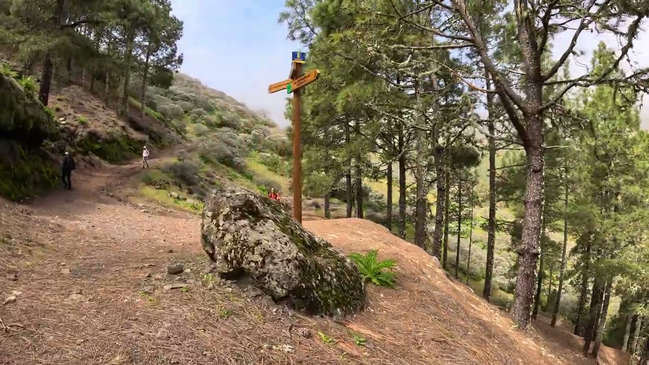 Senderismo por las Montañas de Gran Canaria 🏔️