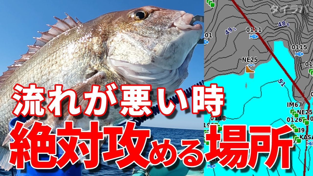 タイラバで大真鯛狙い！ 潮流がダメな時はここを狙っています