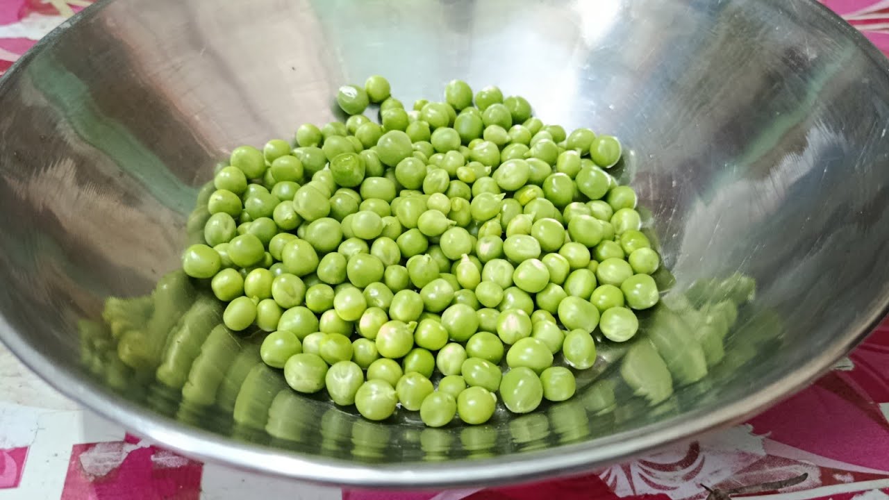 TASTE AGAYA