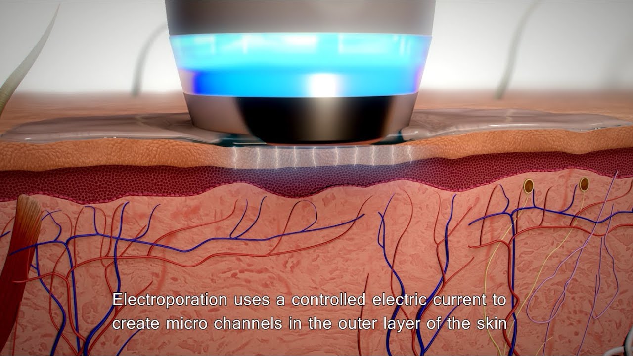 APOLLO DUET - Electroporation & Iontophoresis