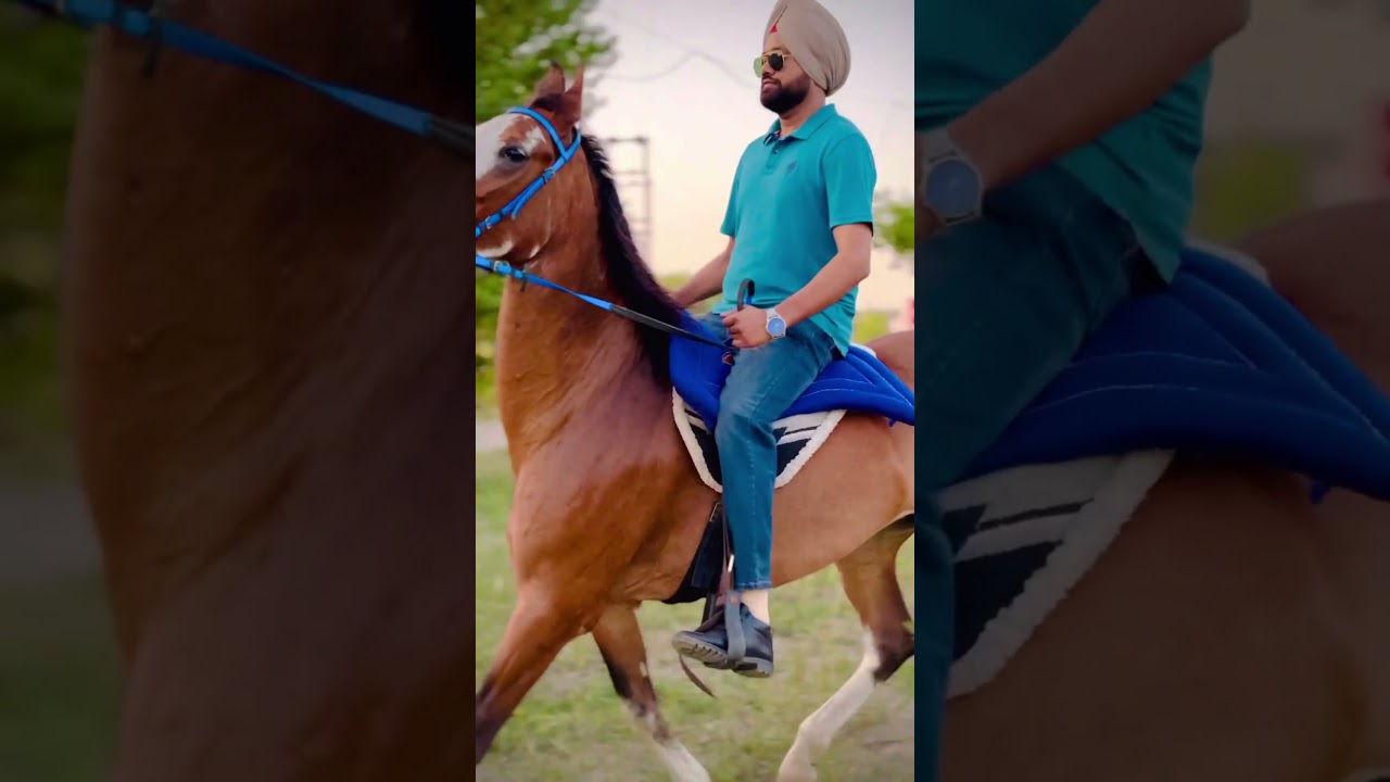 Horse Riding Apna Farm 