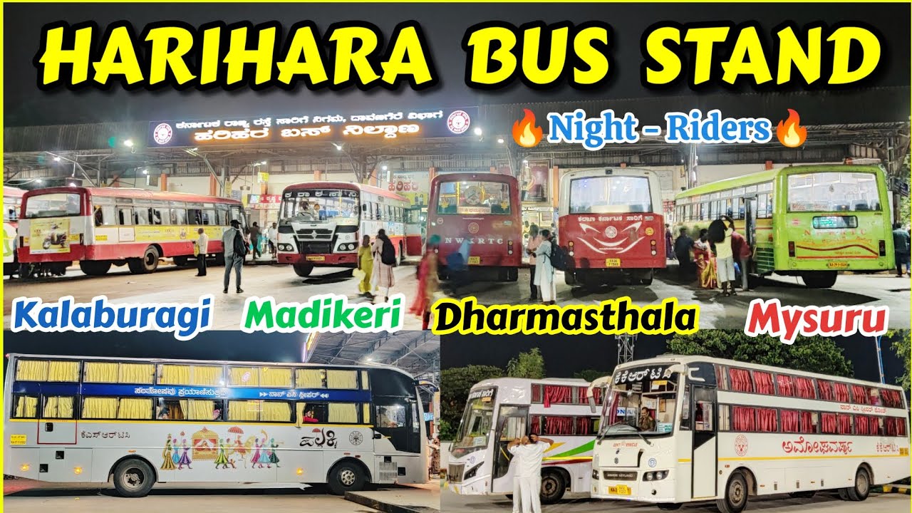 Night-Riders🔥DAVANAGERE - HARIHARA | Kalaburagi,Dharmasthala,Kolhapur #bus #travel #vlog #travelvlog