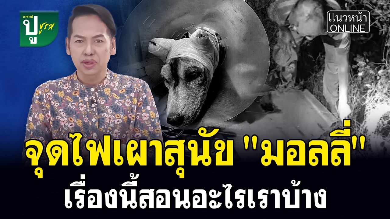 จุดไฟเผาสุนัข 