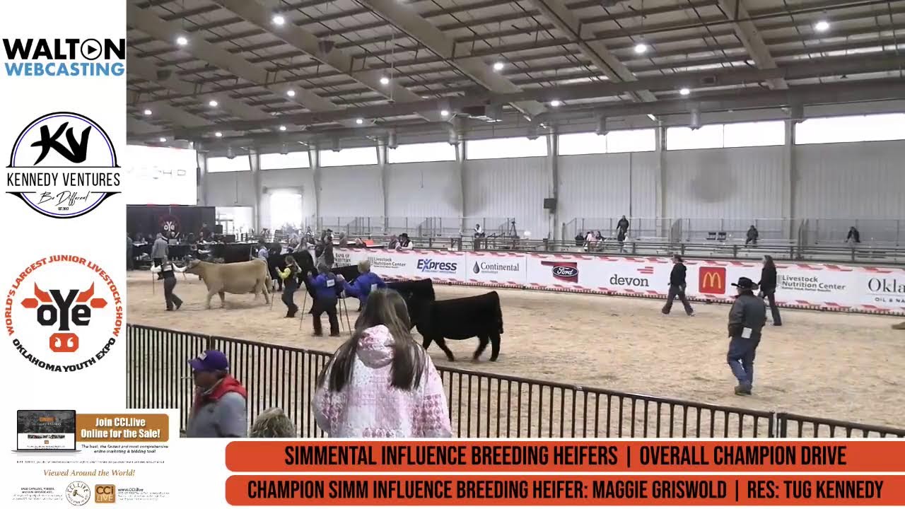 Breeding Heifer Show - Barn 8 Ring 1 - Mar-15