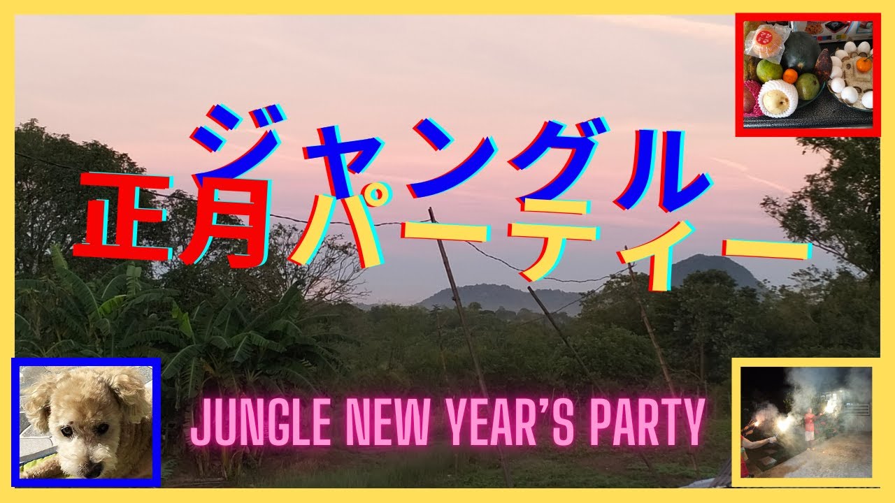 ジャングル正月パーティー　Jungle New Year's Party