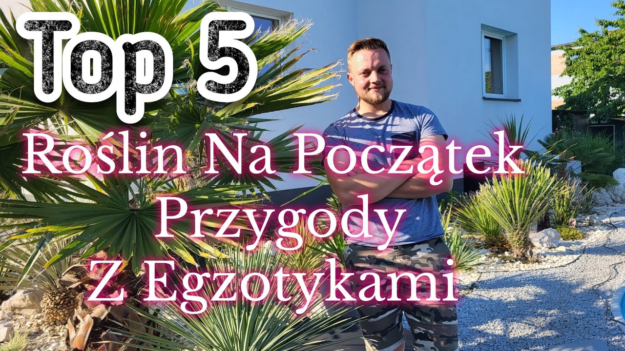 Top 5 Roślin Na Początek Przygody Z Roślinami Egzotycznymi, Egzotyczny Ogród W Polsce