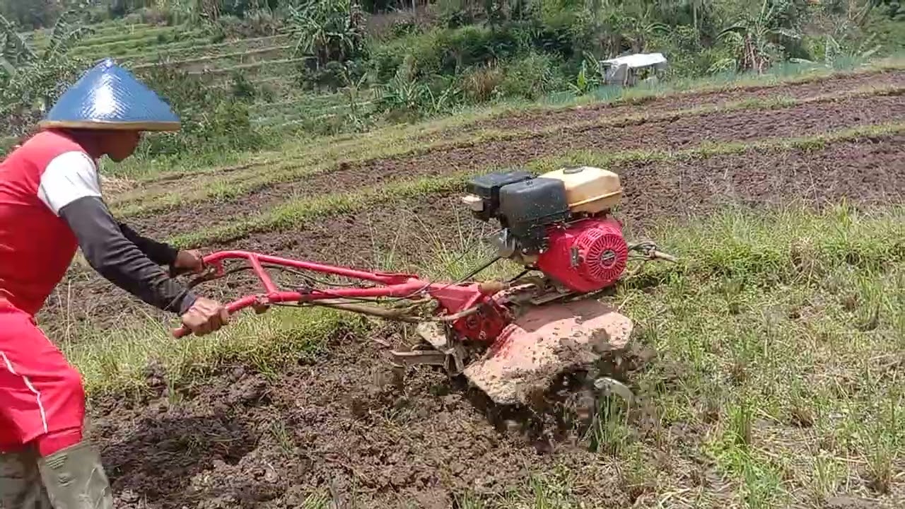 bajak mini nekat !! dengan pisau rotari Blade S berani garap lahan basah