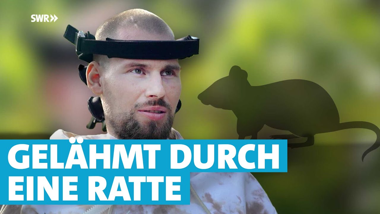 Rattenbiss-Fieber verursacht Querschnittslähmung bei früherem Landwirt Jan Böhm