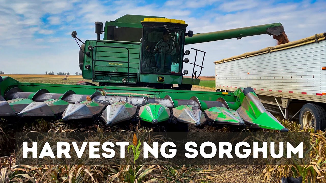 Комбайн JD 7720 собирает урожай!