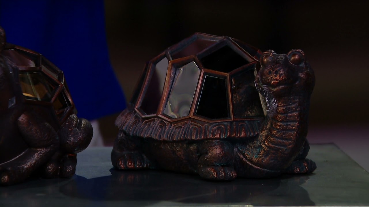 Compass Home Mirrored Animal LED Lit Luminary on QVC