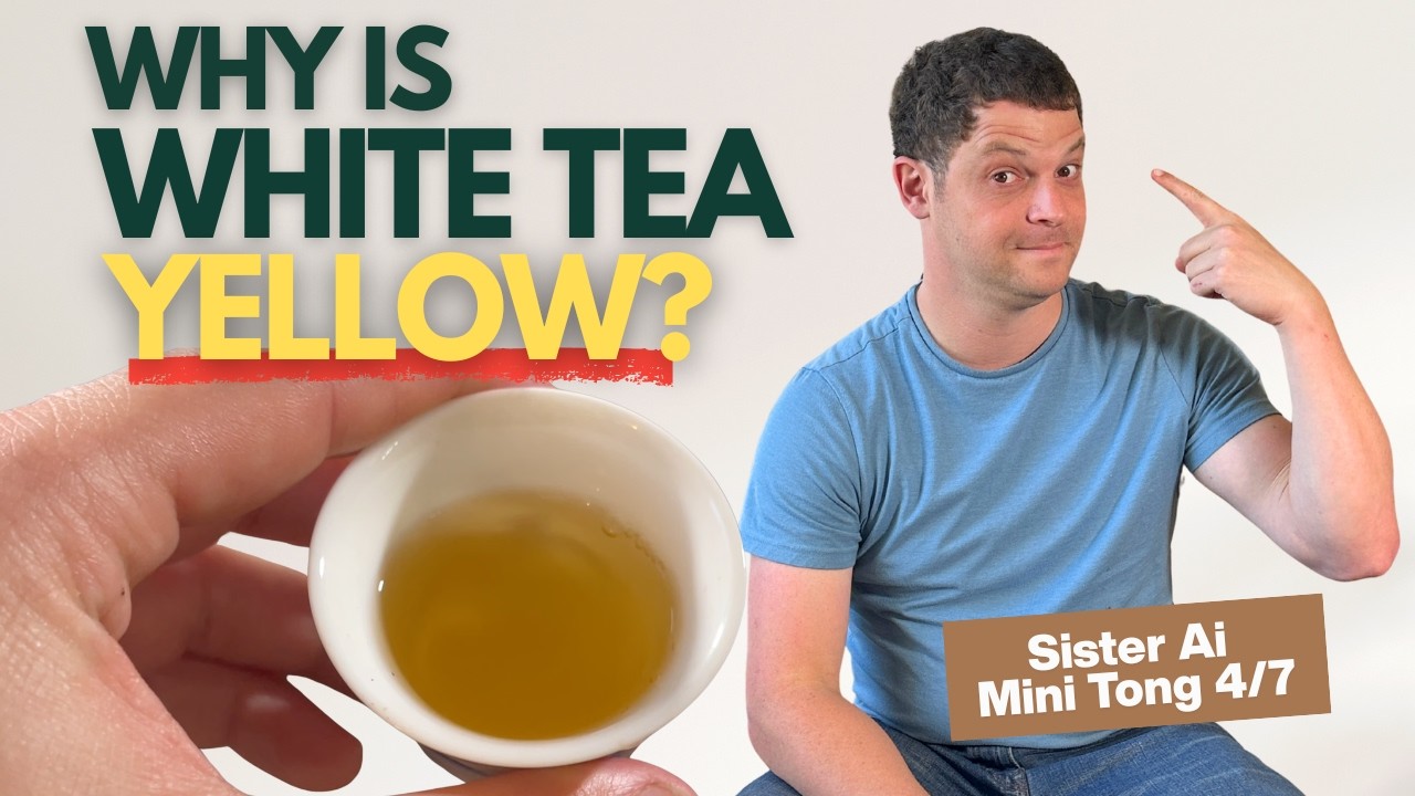 The Purest Tea You Can Have: Sister Ai&rsquo;s Ancient Tree White Tea  - Mini Tong Series Part 4