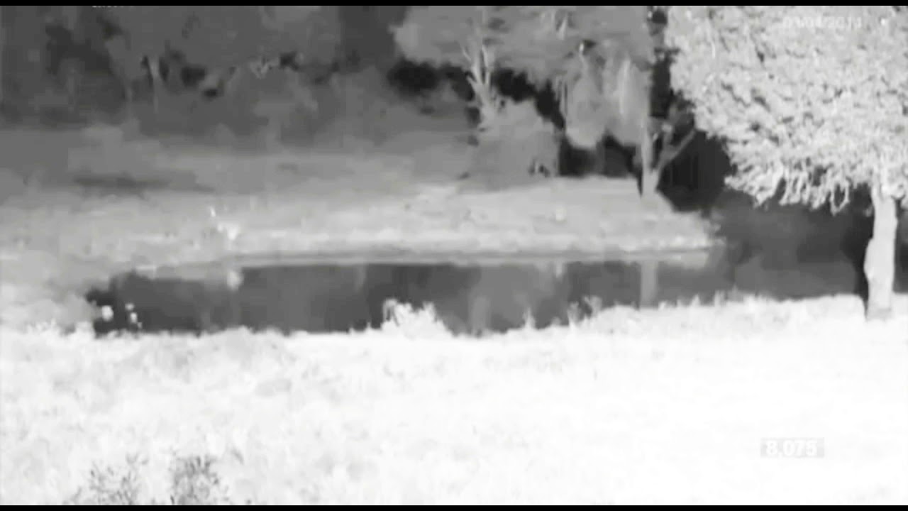 J'BA FOFI CAUGHT ON CAMERA! {ENHANCED VERSION/SHORTENED}