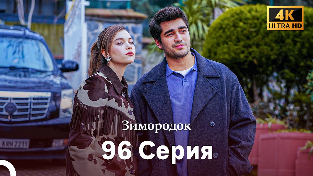 Зимородок 96 Cерия (Русский дубляж) (4K)