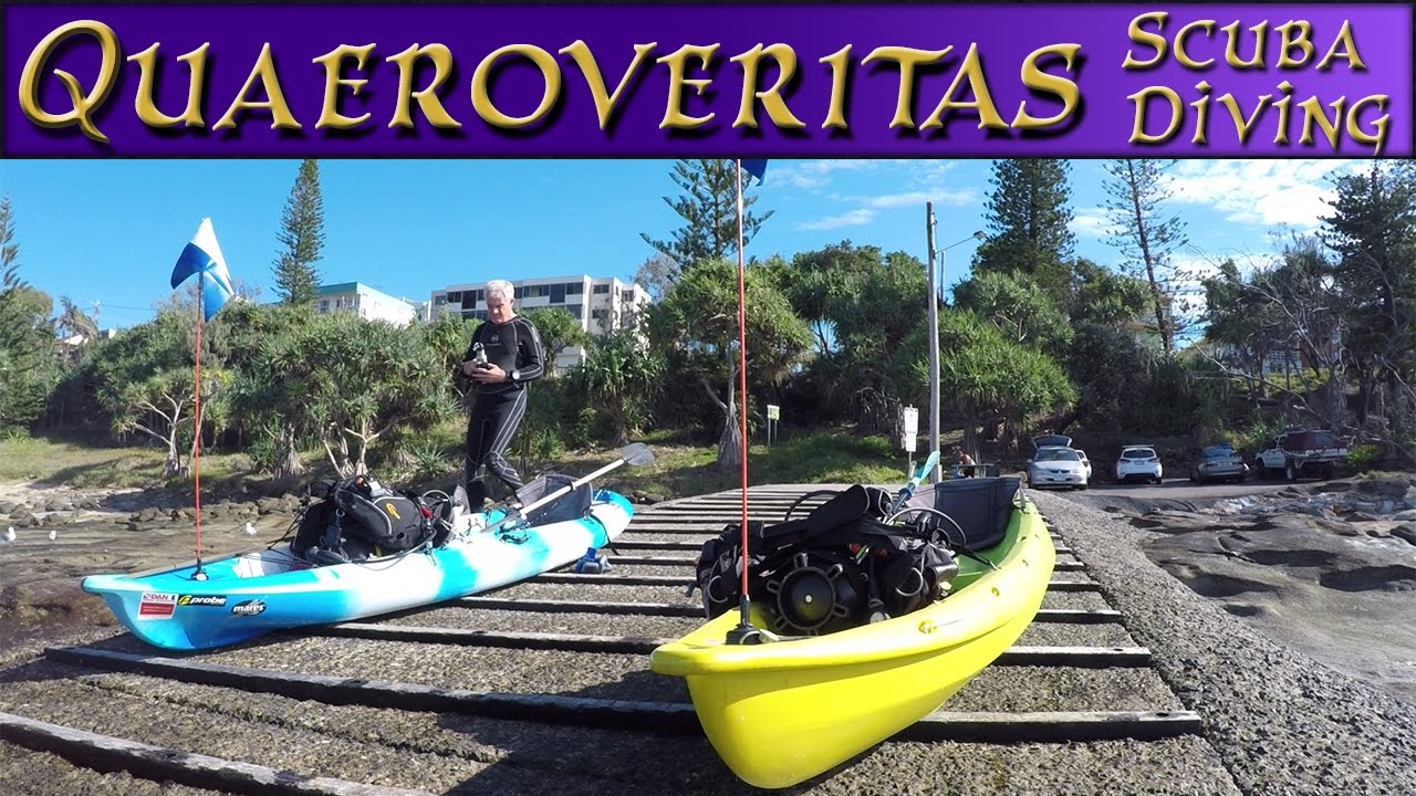Scuba Diving With Q - Up Close With A Leatherjacket On A Kayak Scuba Diving Adventure #ScubaDive