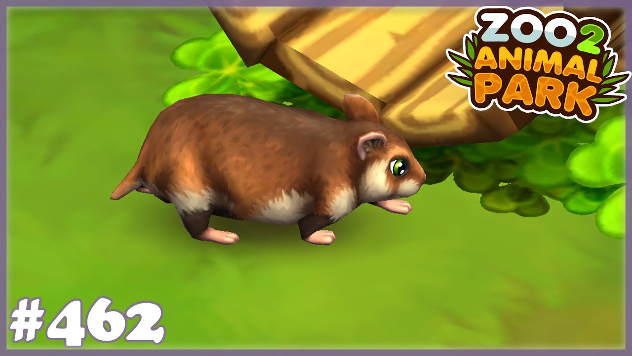 Feldhamster im Terrarium - Zoo 2 - Animal Park /462