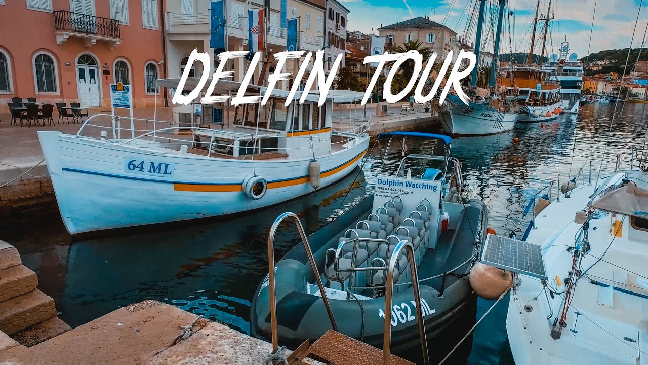 Delfin Tour auf Mali Losinj - Mit Volldampf aufs Meer!