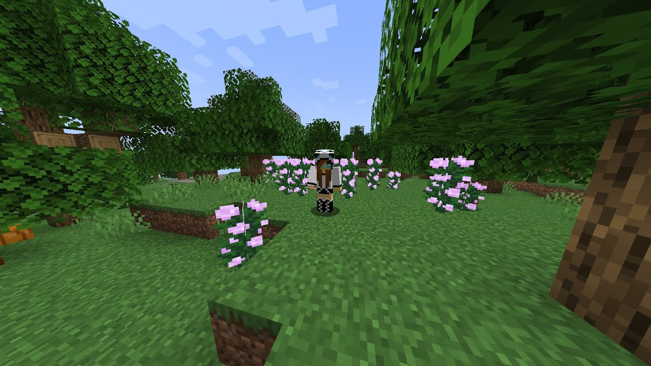 MANİTAYLA MİNECRAFT HARDCORE AYRILDIK!! (clickbait)