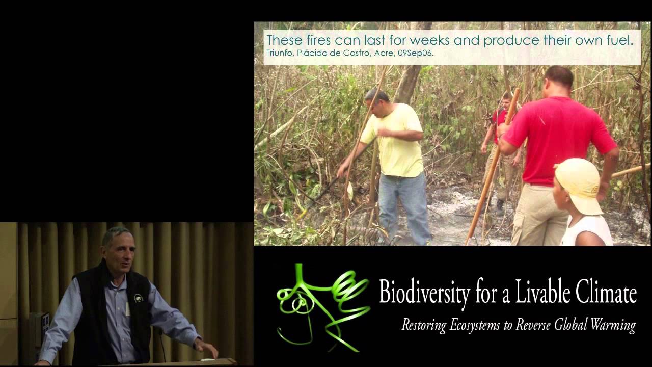 Foster Brown: Maintaining Forest Cover and Biodiversity in Amazonia