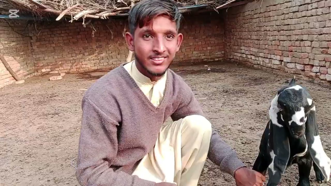 بچوں کا میلہ لوٹ لیں