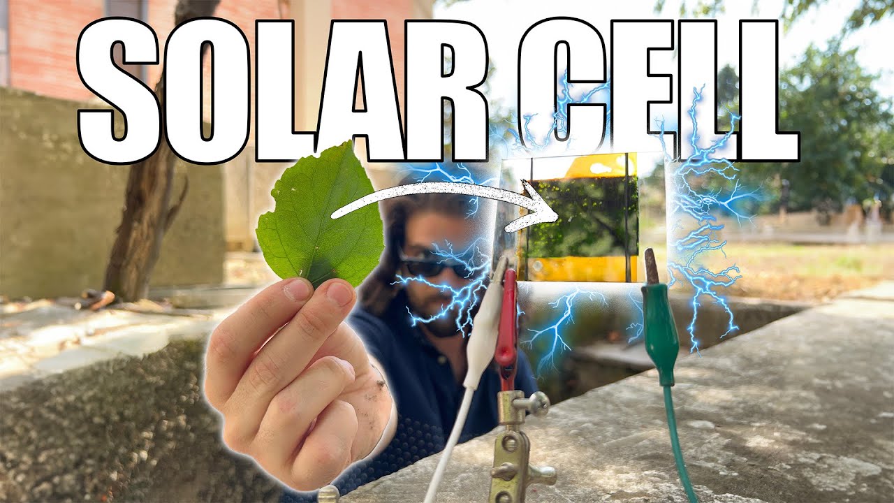 ELETTRICITÀ da una FOGLIA?