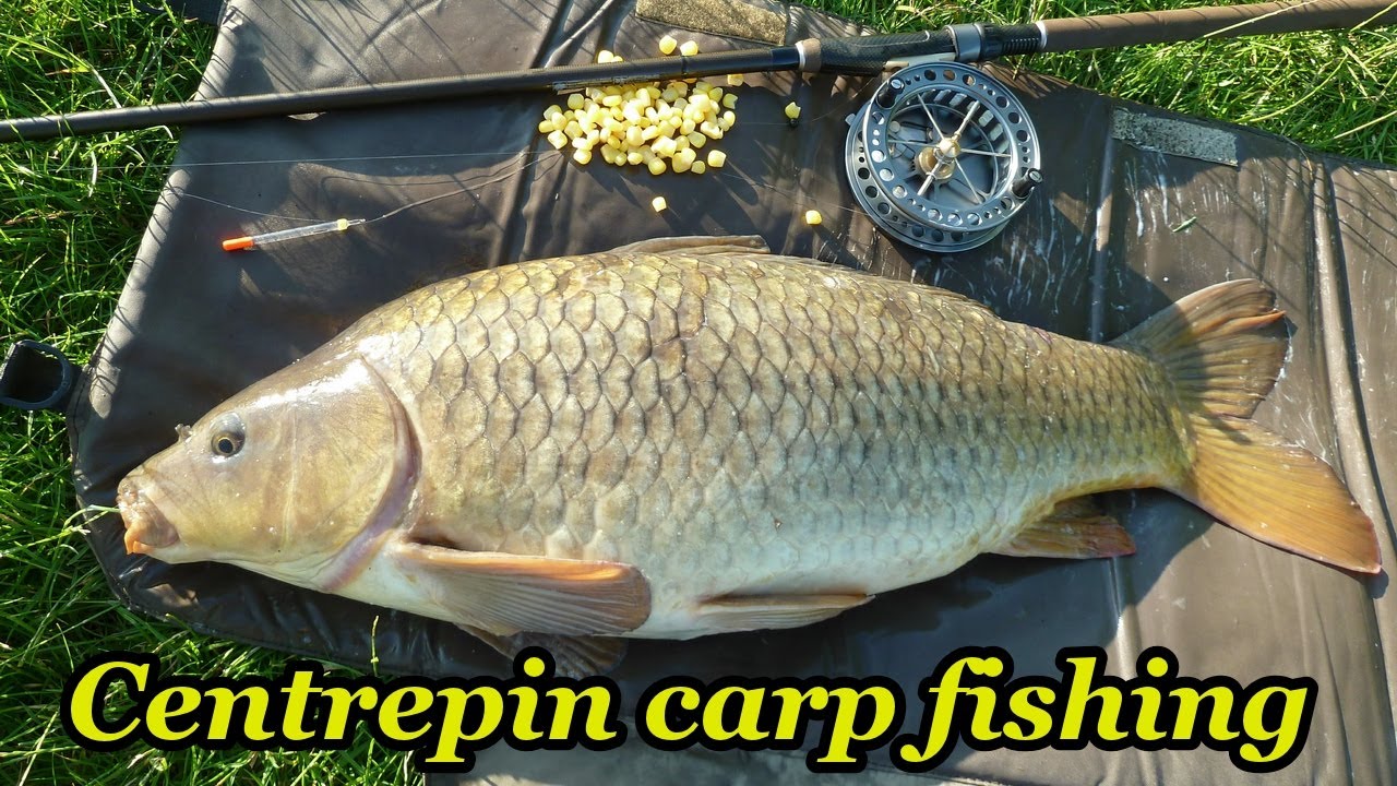 Centrepin Carp Fishing