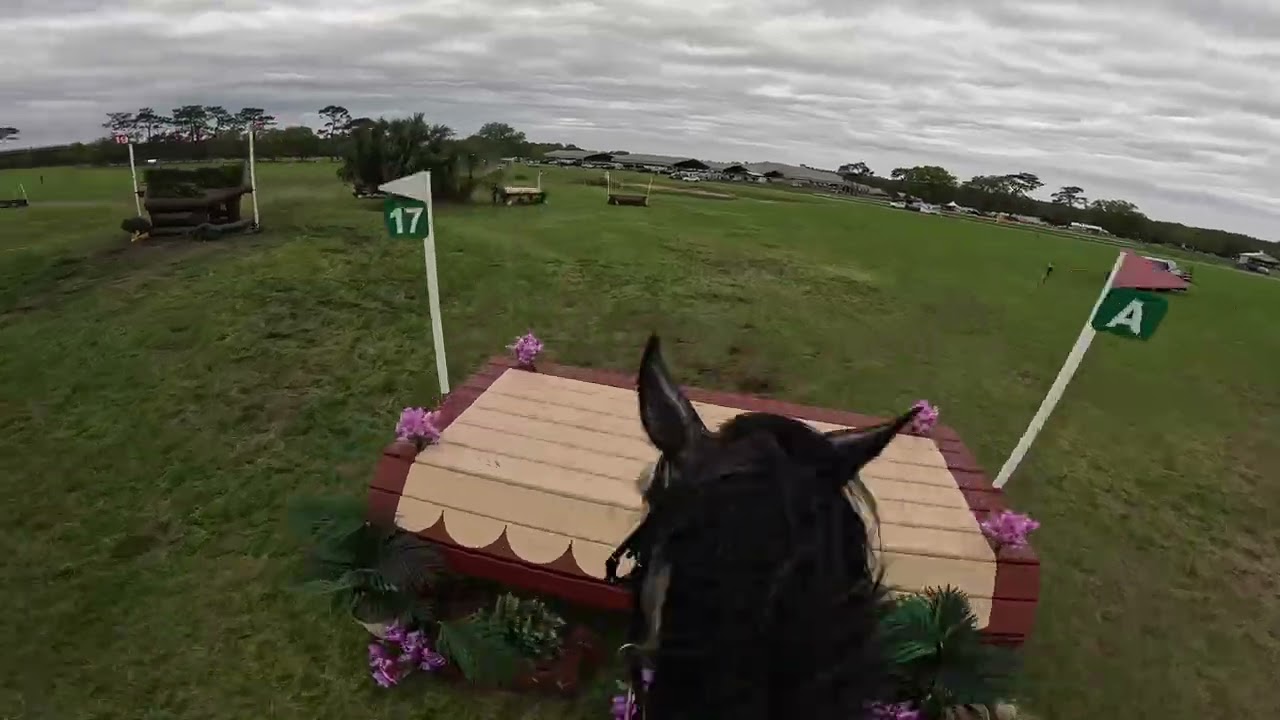 GoPro: Belline Foody's Out of the Blue (Предварительный этап | Зимние конные соревнования Ocala W...