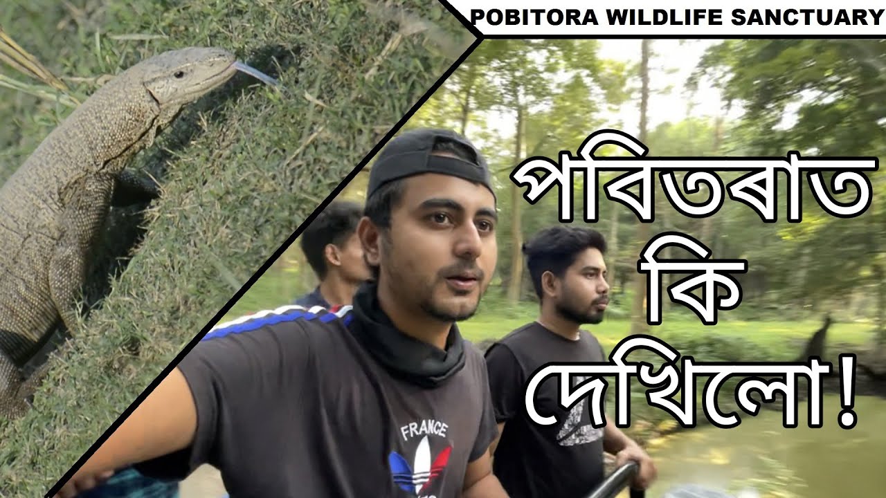 Pobitora Wildlife Sanctuary || Wildlife vlog || Vlog 10