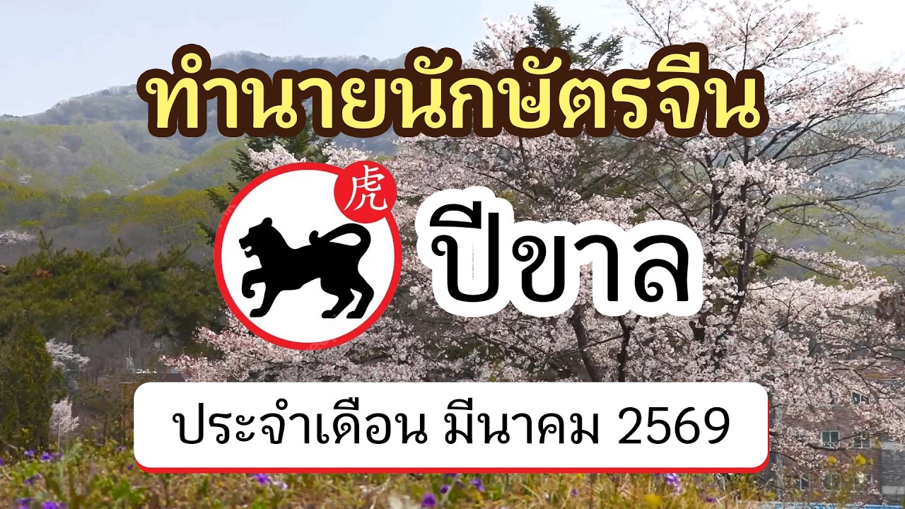 ทำนายดวงนักษัตรจีน ปีขาล ประจำเดือน มีนาคม 2569 | @ดูดวงจีนโบราณ