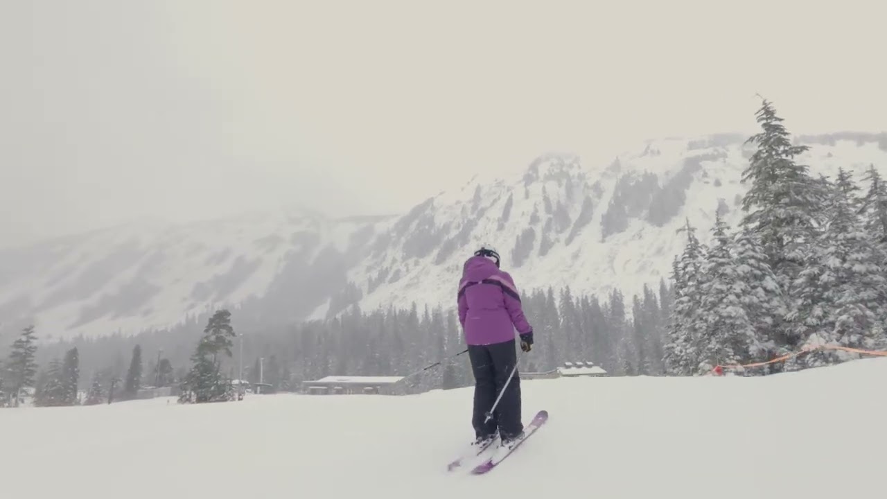 Snowday ski
