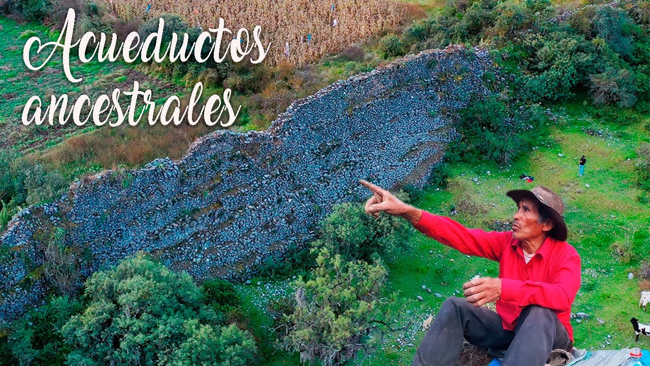 Ingenieria hidraulica pre INCA ocultos en el medio del bosque.