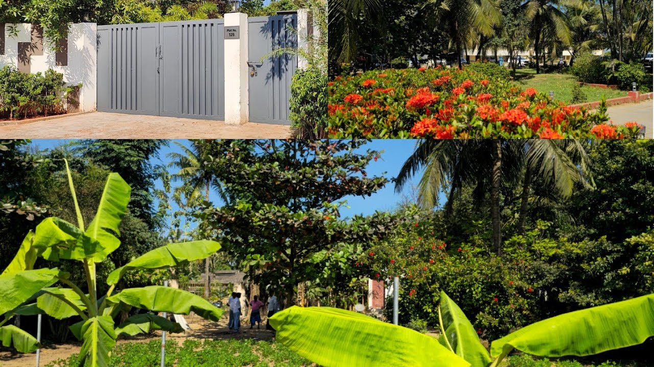 NO:251 Attractive All Variety 🌳🌲🌴 Farmland 2Acre 16Cent Sale Chengalpattu District|| Ct: 9626716274