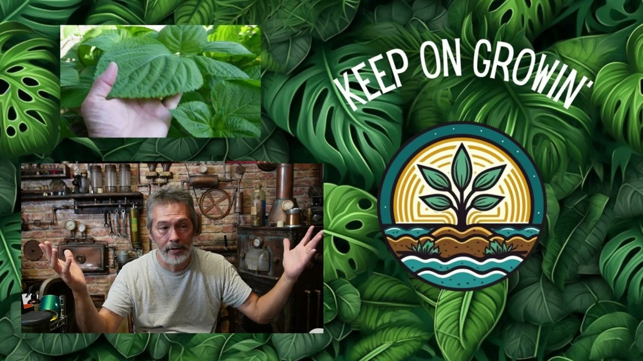 Organic Nutrients for Hydroponics, Cheap & Easy Gardening