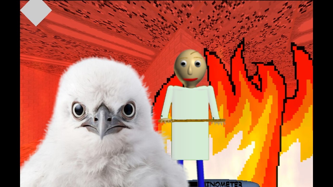 SUBTER BIRDY - Baldi's basics Subter Baldi mod (decompiled mod)