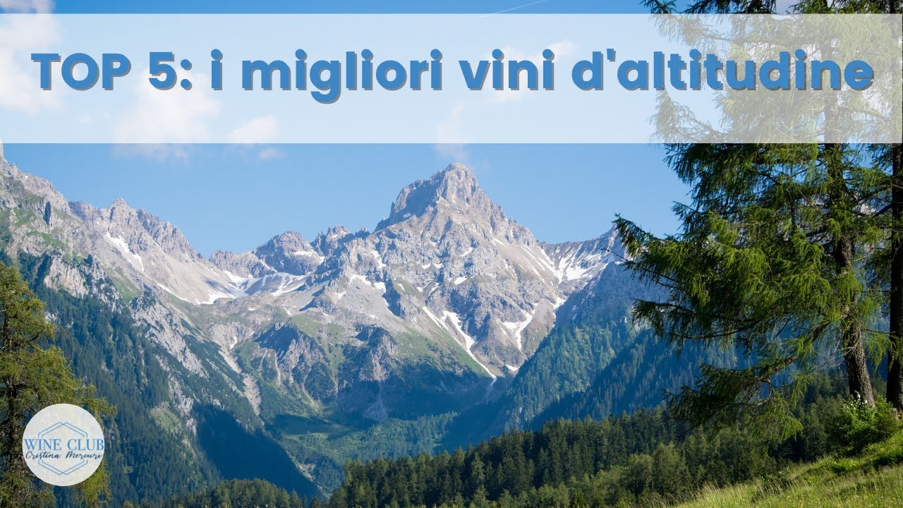 TOP 5: i migliori vini d'altitudine