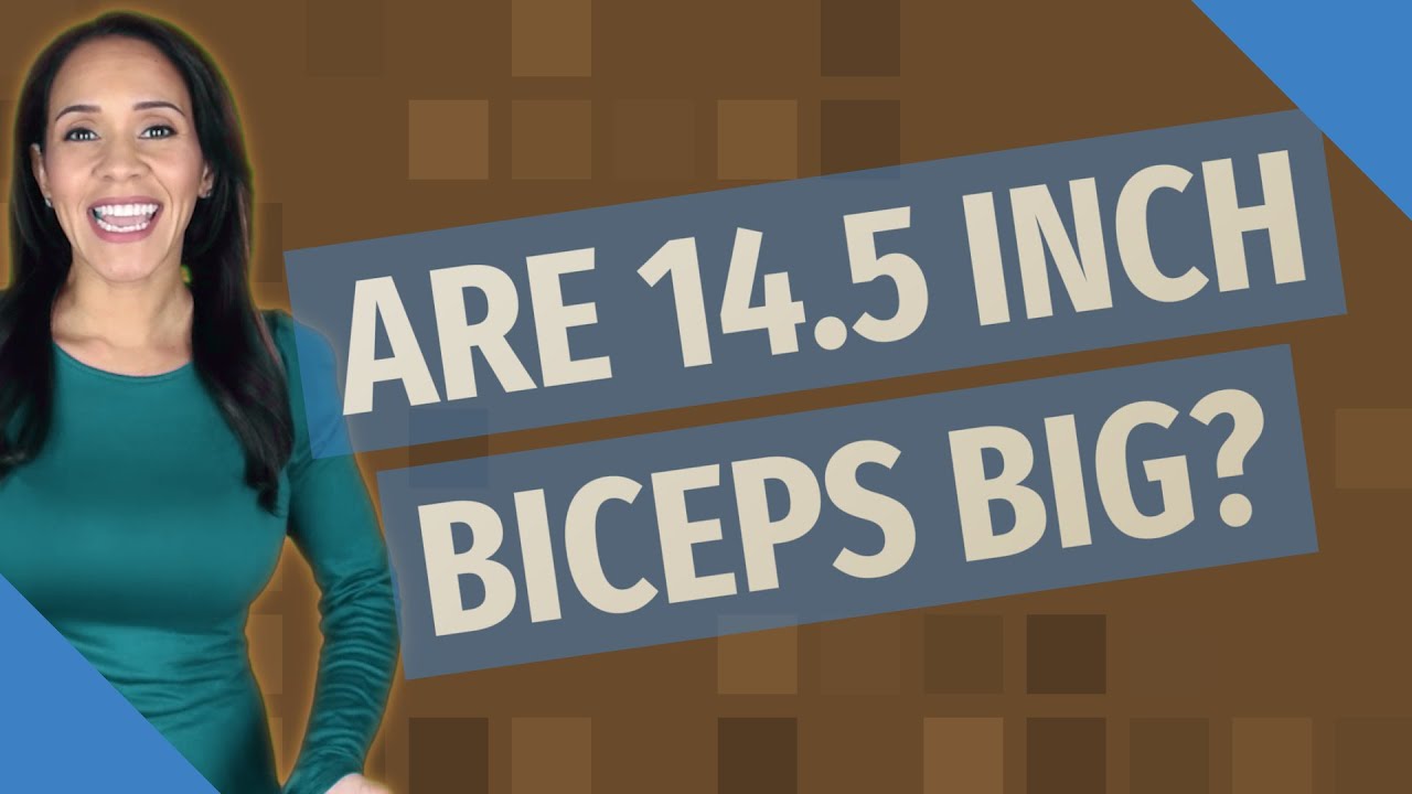 Are 14.5 inch biceps big?