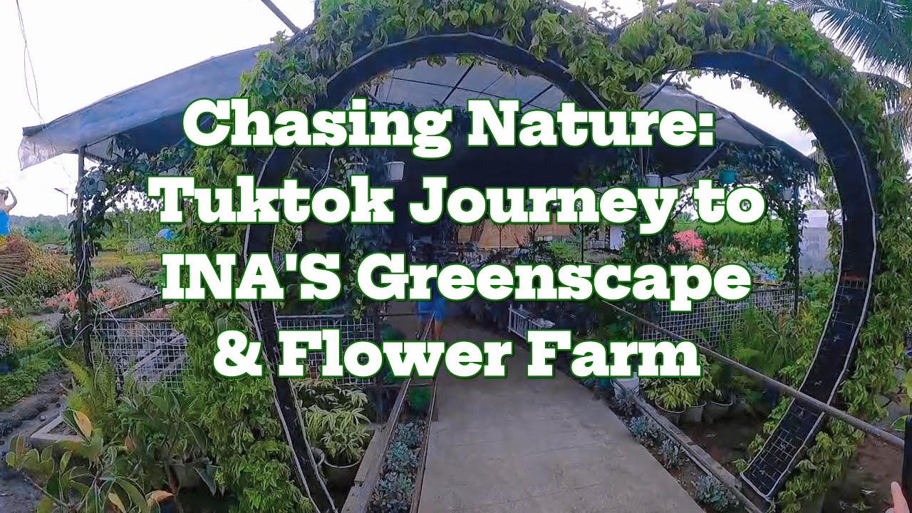 Chasing Nature: Tuktok Journey to INA'S Greenscape & Flower Farm