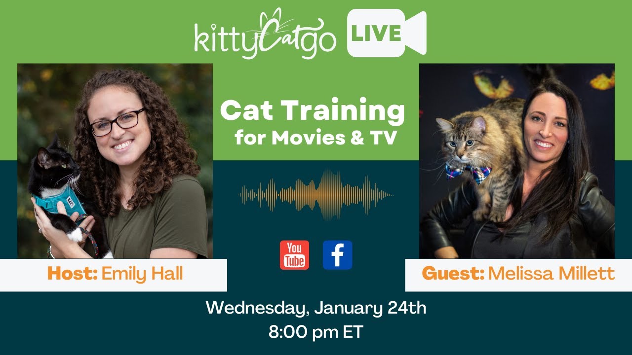 KittyCatGO LIVE with Melissa Millett - Cat Training for Movies & TV